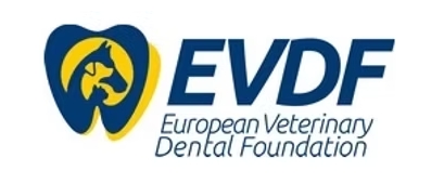 EVDF Porto - 7 a 9 Maio 2026